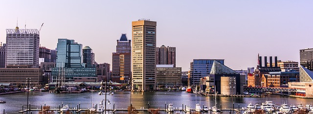 Baltimore-Washington International Thurgood Marshall Airport