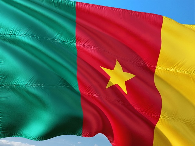 Douala International Airport