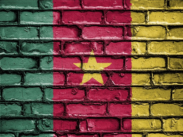 Yaoundé Nsimalen International Airport