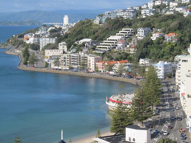 Wellington International Airport
